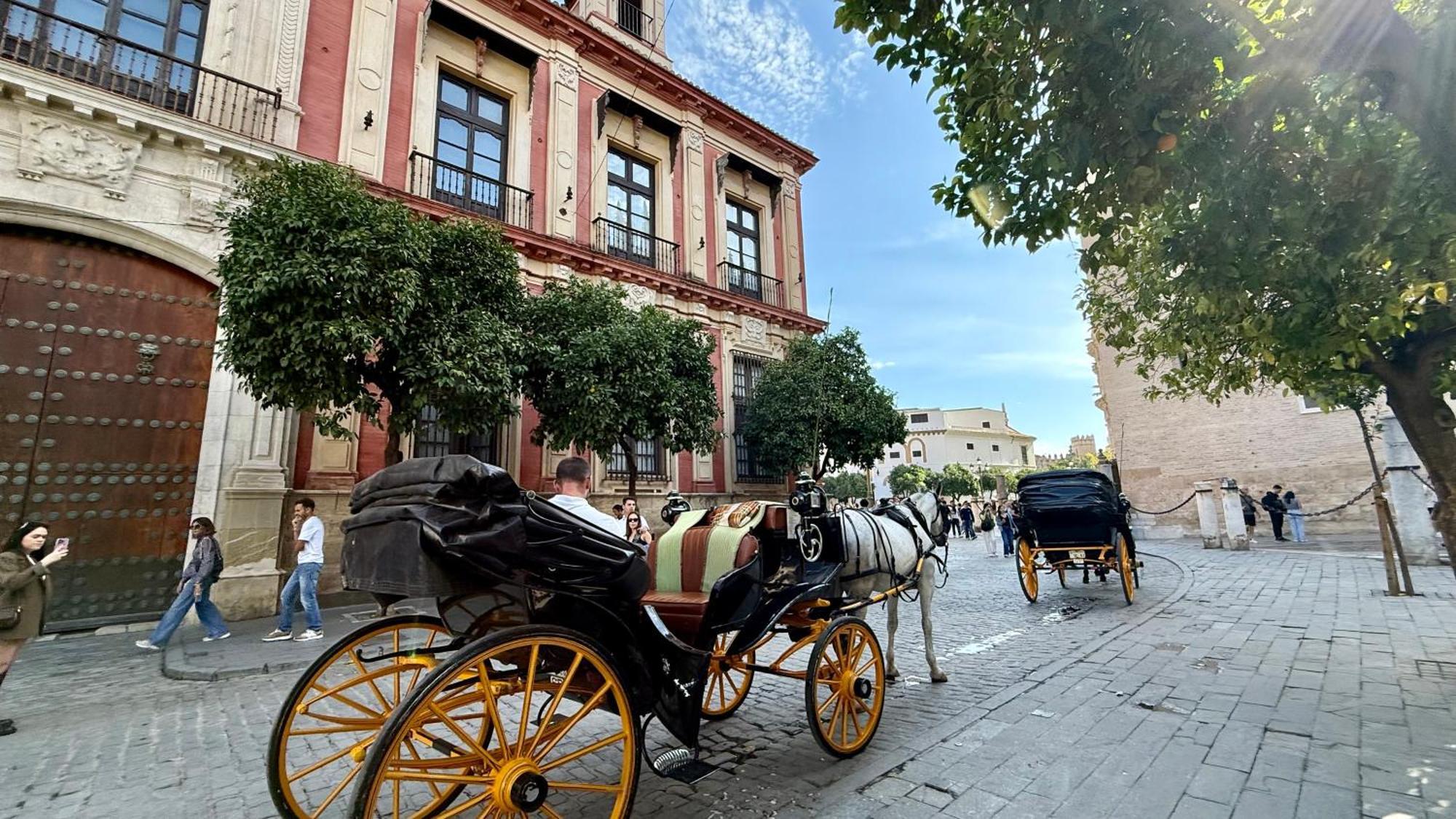 Apartamento Turistico Ciudad Jardin - Nervion. — Photos 3
